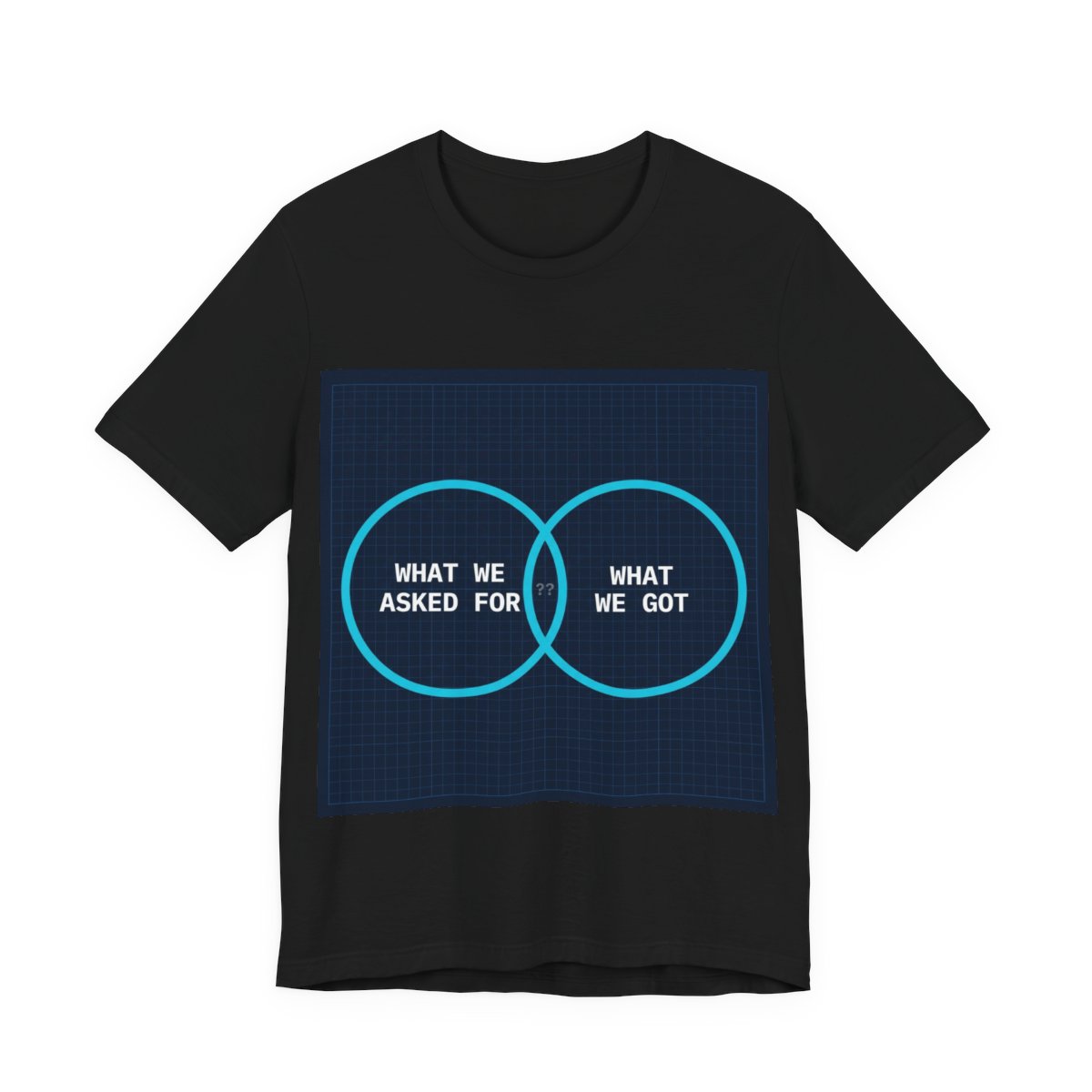 What We Asked For / What We Got